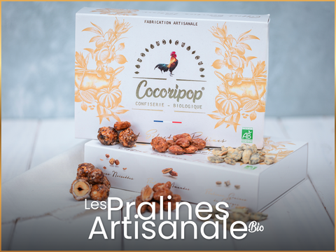 Pralines bio artisanales françaises aux amandes, noisettes et noix de cajou caramélisées