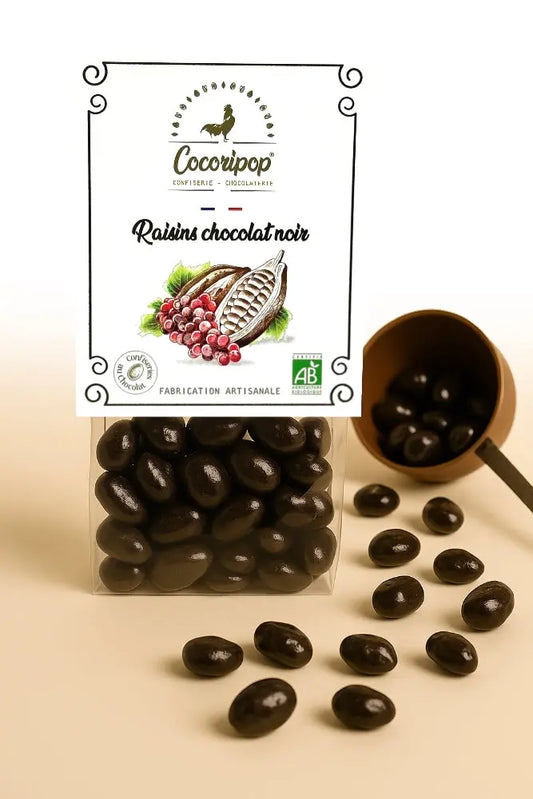 Raisins_Chocolat_Noir_Bio_artisanale_cocoripop_gourmand