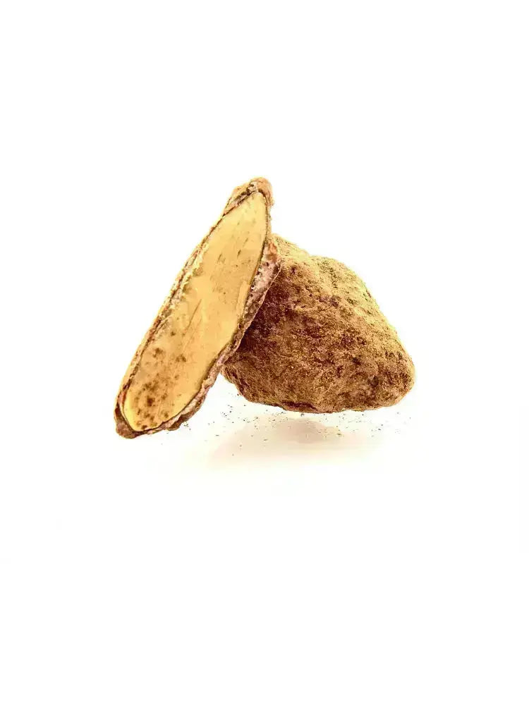Amande croquante enrobée de chocolat au lait fondant et saupoudrée de cacao, offrant une texture veloutée et gourmande, sur fond blanc. bio