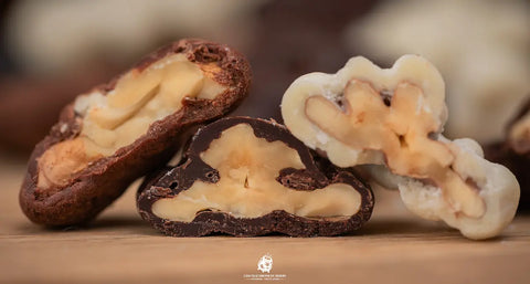 Noix du Berry au Chocolat Blanc Bio Cocoripop, fabrication artisanale française à Saint-Germain-du-Puy près de Bourges.