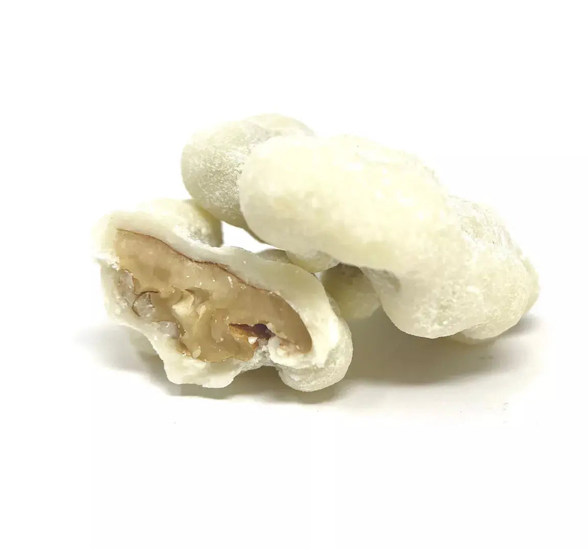 Cerneau de noix du Berry croquant, délicatement enrobé de chocolat blanc onctueux et saupoudré d’une fine couche de sucre glace, offrant une expérience fondante et raffinée, sur fond blanc. bio