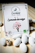Amandes chocolatées bio à savourer avec un café – confiserie artisanale à Brécy