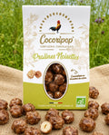 Pralines noisettes caramélisées bio fabriquées artisanalement près de Bourges avec des noisettes biologiques torréfiées et un caramel réalisé en chaudron.
